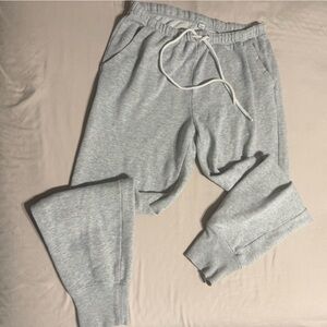 Gray Aerie Sweatpants